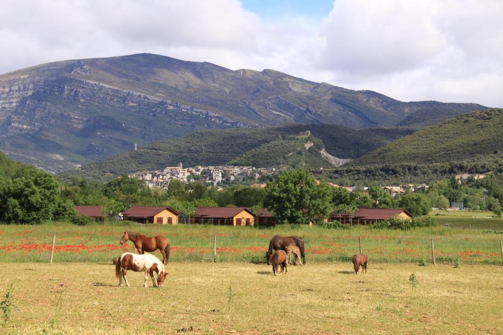 Wecamp Pirineos Hotel Boltana Luaran gambar